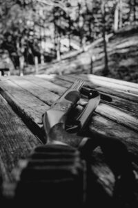 Flash Fiction #307 – Southern Woman With a Shotgun