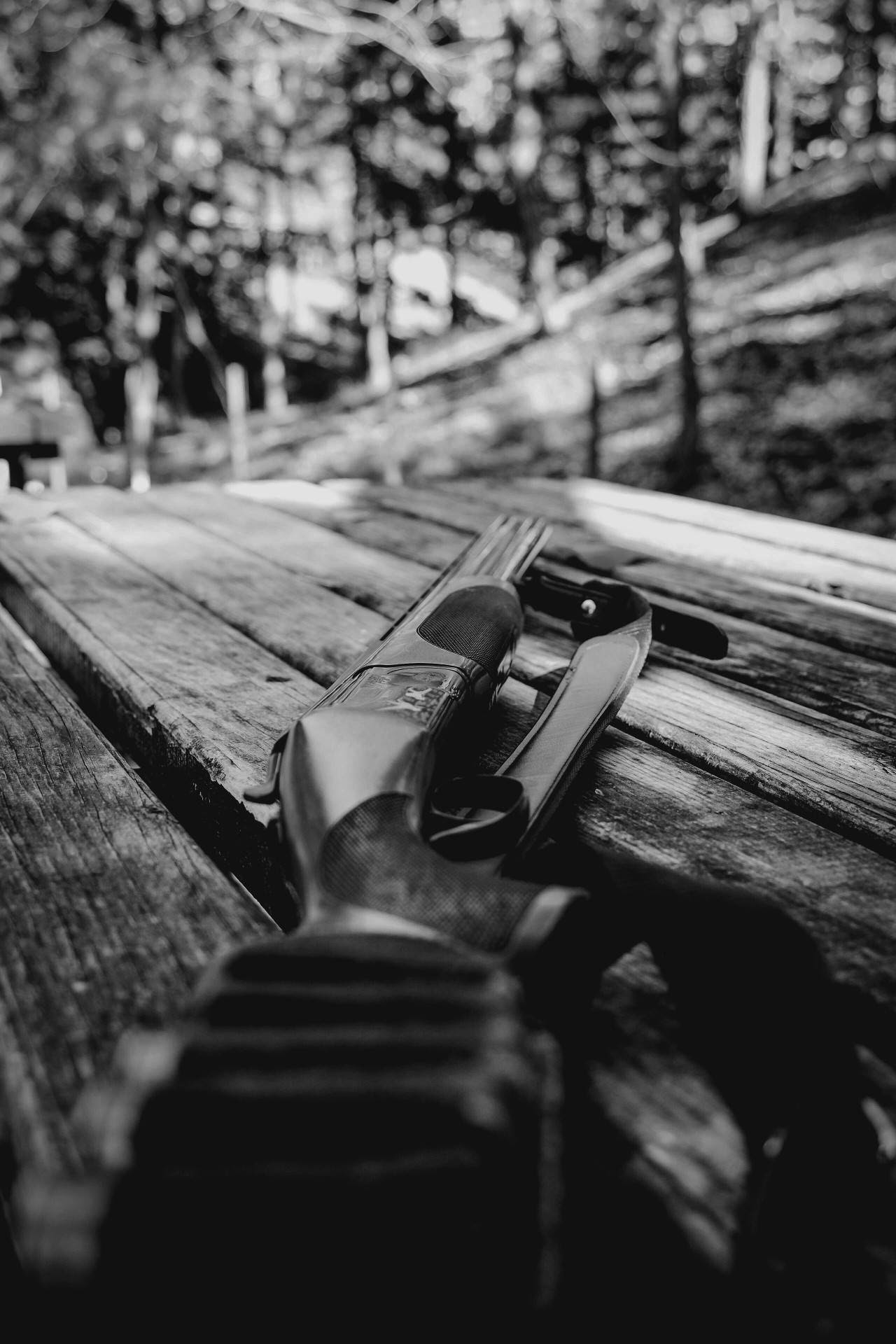 Flash Fiction #307 – Southern Woman With a Shotgun