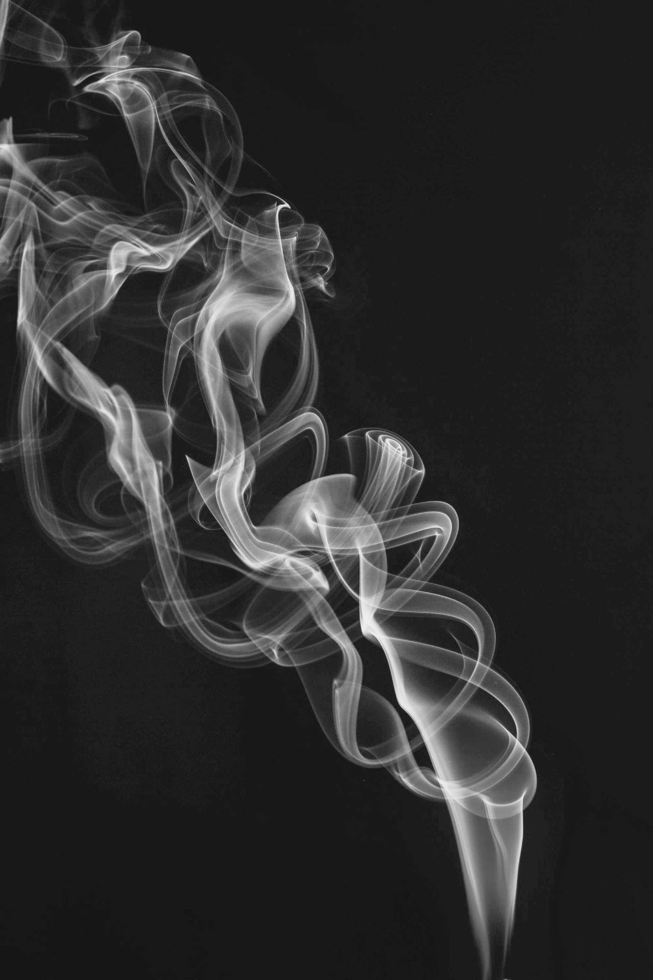 Flash Fiction #308 – United