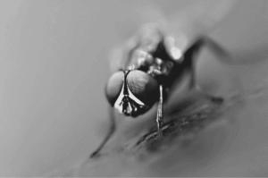 Flash Fiction #310 – Not Our Problem