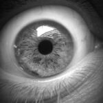 Flash Fiction #315 – Easy on the Eyes