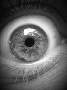 Flash Fiction #315 – Easy on the Eyes