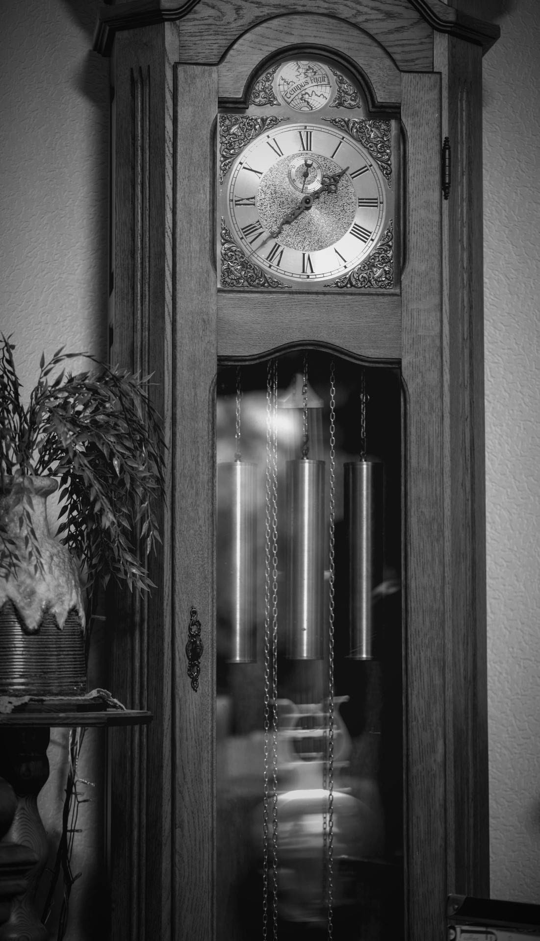 Flash Fiction #318 – The Grandfather Clock