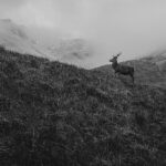 Flash Fiction Special Edition – Earth Watch by Bea Frazier