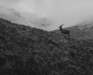 Flash Fiction Special Edition – Earth Watch by Bea Frazier