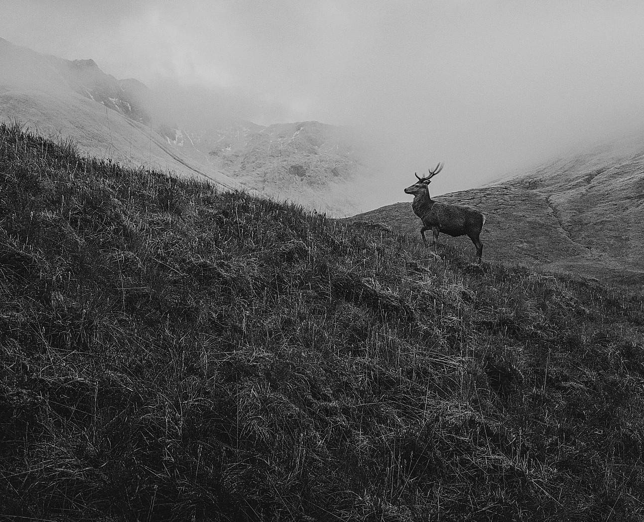 Flash Fiction Special Edition – Earth Watch by Bea Frazier